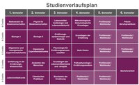 Infografik: Ein Studienverlaufsplan zeigt die Semesteraufteilung eines Studiengangs. Die Tabelle umfasst sechs Semester mit Kursen wie Mathematik, Biologie, Ernährungslehre und Praktika. Jedes Semester listet spezifische Module und deren ECTS-Punkte auf.