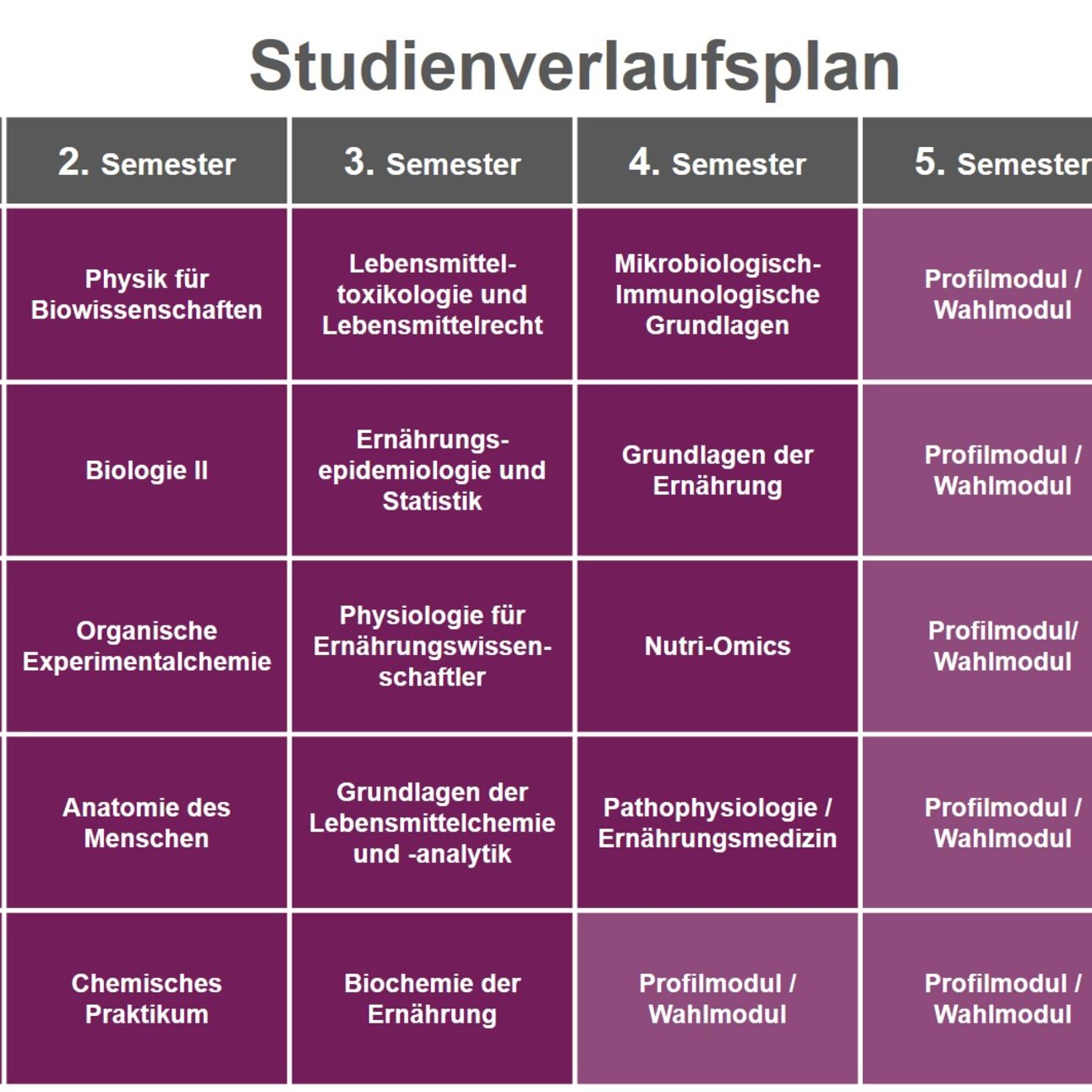 Infografik: Ein Studienverlaufsplan zeigt die Semesteraufteilung eines Studiengangs. Die Tabelle umfasst sechs Semester mit Kursen wie Mathematik, Biologie, Ernährungslehre und Praktika. Jedes Semester listet spezifische Module und deren ECTS-Punkte auf.