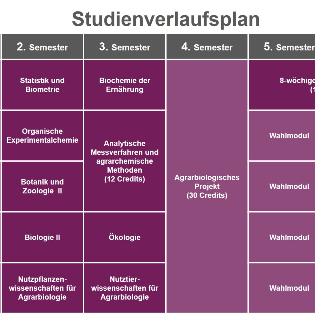 Infografik: Der Studienverlaufsplan zeigt Module und Credits für sechs Semester. Kurse umfassen Mathematik, Physik, Biochemie, Ökologie und Wahlmodule. Ein agrarbiologisches Projekt und ein 8-wöchiges Praktikum sind enthalten. Die Bachelorarbeit im 6. Semester hat 12 Credits.