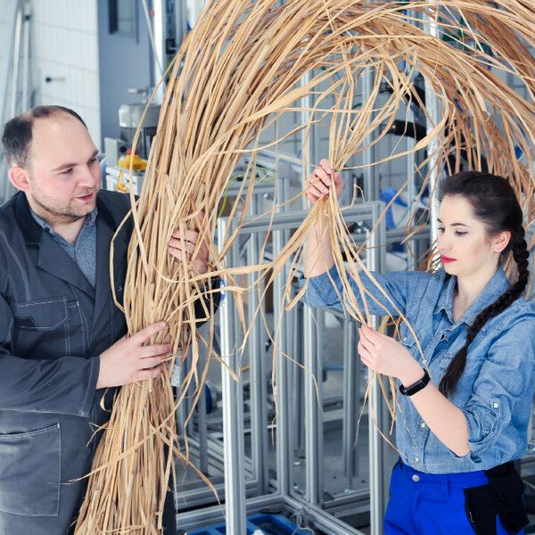 Studentin und Dozent halten ein Bündel Miscanthus. Sie arbeiten in modernen technischen Umgebung.