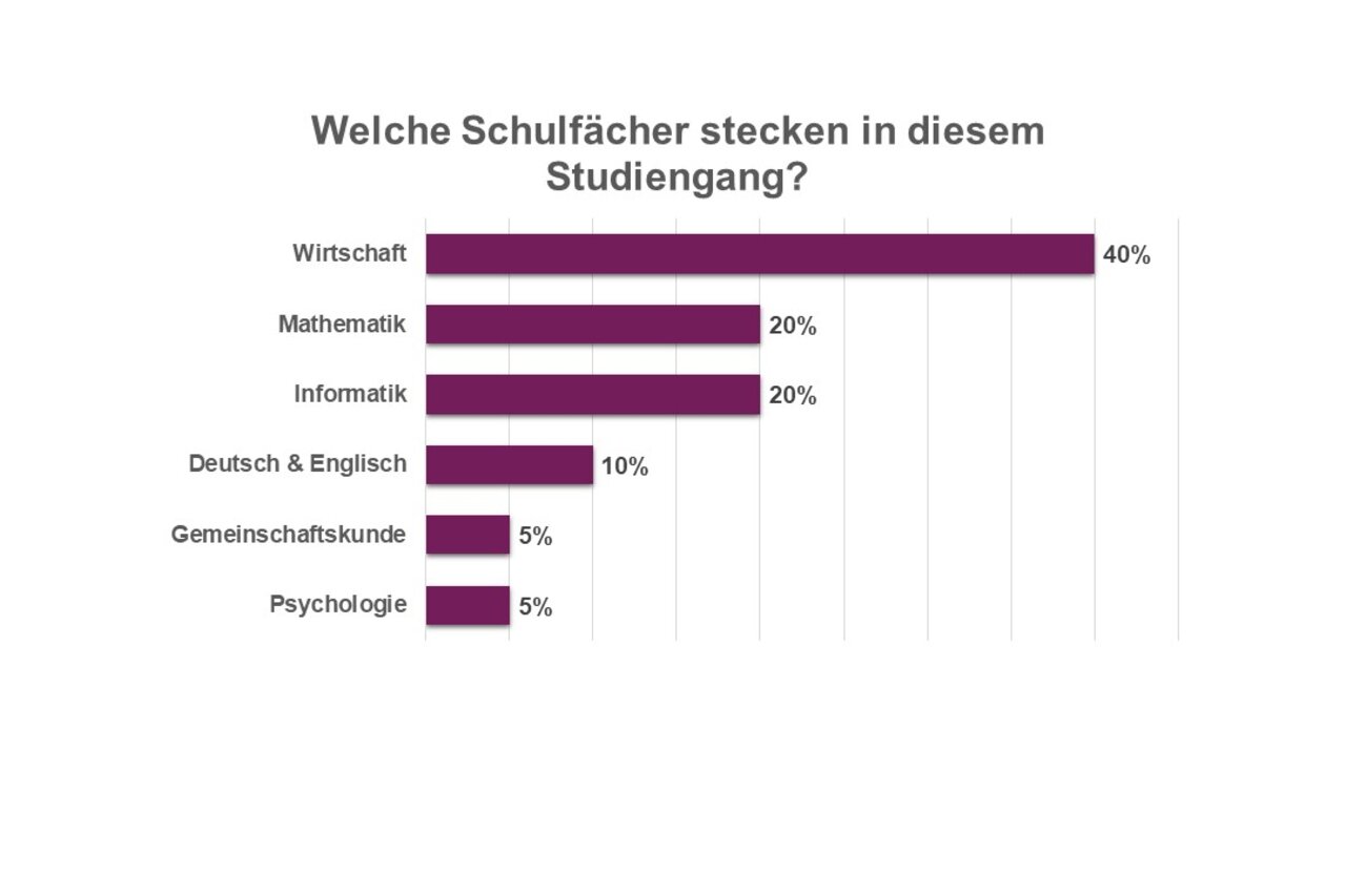 Übersichtgrafik mit allen Schulfächern, die im Studiengang Digital Business Management stecken