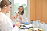 Zwei Studentinnen in Laborkitteln arbeiten in einem Labor mit Honigproben.