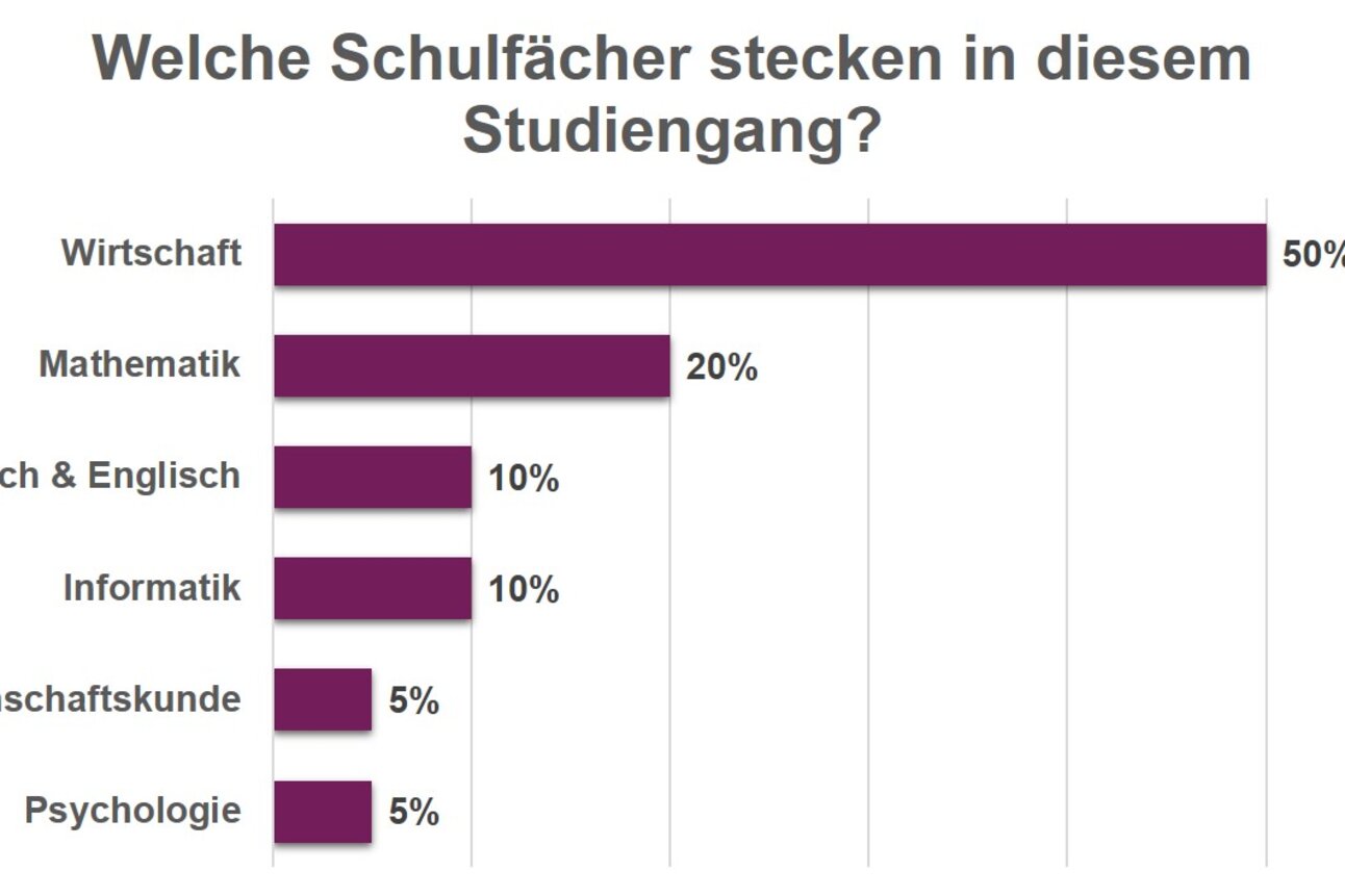 Infografik: Ein Balkendiagramm zeigt die Anteile verschiedener Schulfächer in einem Studiengang. Wirtschaft hat 50%, Mathematik 20%, Deutsch & Englisch 10%, Informatik 10%, Gemeinschaftskunde 5% und Psychologie 5%. Der Titel lautet: "Welche Schulfächer stecken in diesem Studiengang?"