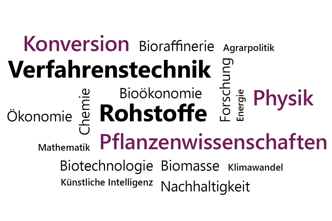 Infografik: Eine Wortwolke mit Begriffen wie "Verfahrenstechnik", "Rohstoffe", "Pflanzenwissenschaften", "Physik", "Biotechnologie", "Nachhaltigkeit" und "Künstliche Intelligenz". Diese Begriffe sind in verschiedenen Schriftgrößen und Farben dargestellt und thematisieren wissenschaftliche und technologische Konzepte.