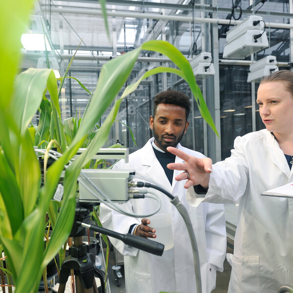 Foto: Zwei Personen in weißen Laborkitteln stehen in einem Gewächshaus und untersuchen Pflanzen. Eine Person hält ein Klemmbrett mit Farbskala, während die andere eine Messvorrichtung bedient. Im Hintergrund sind technische Geräte und Pflanzen sichtbar.