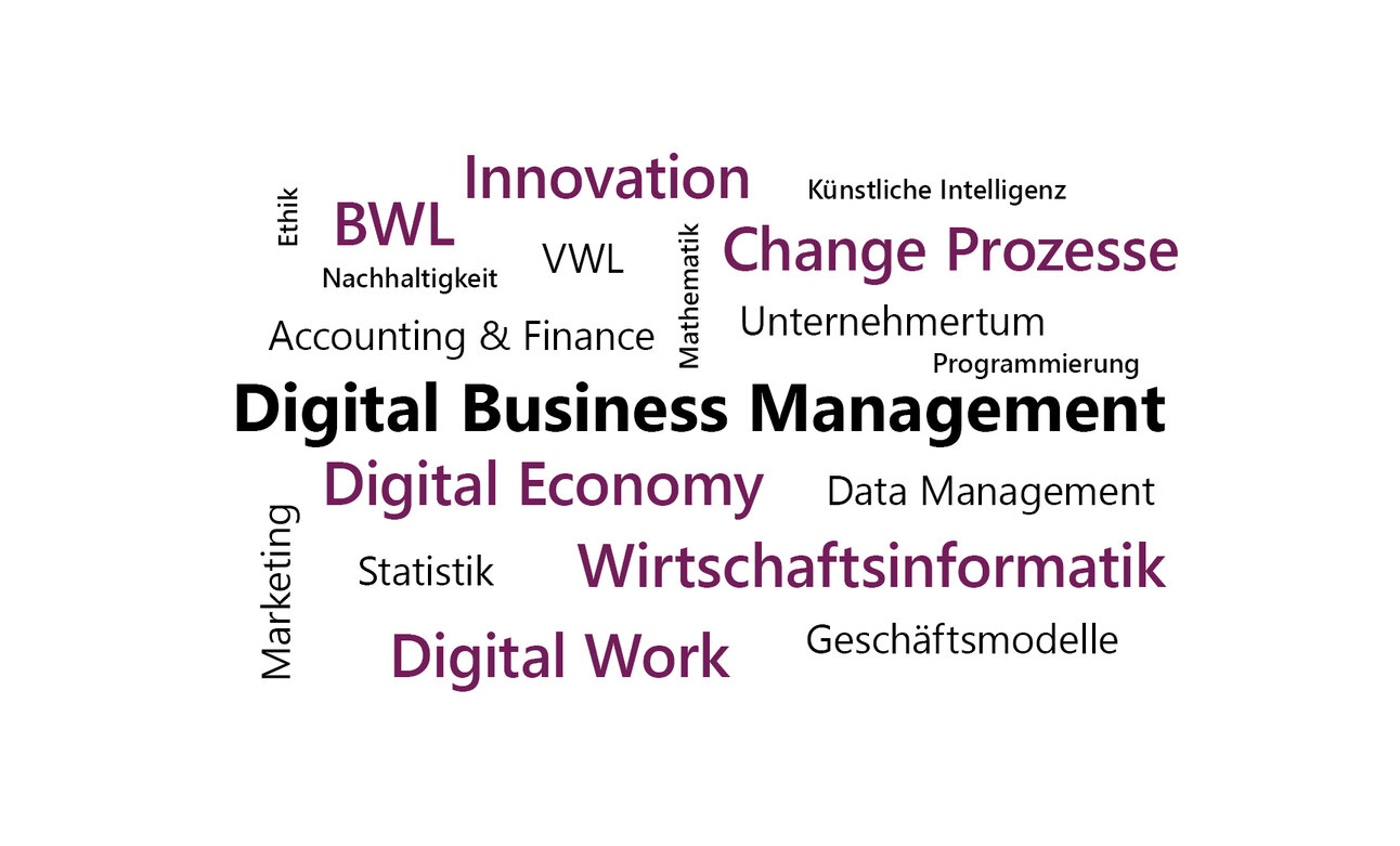 Infografik: Eine Wortwolke mit Begriffen wie "Digital Business Management", "Wirtschaftsinformatik", "Innovation", "Change Prozesse", "Digital Economy", "BWL", "VWL", "Künstliche Intelligenz", "Data Management", "Unternehmertum", "Nachhaltigkeit", "Statistik" und "Marketing".