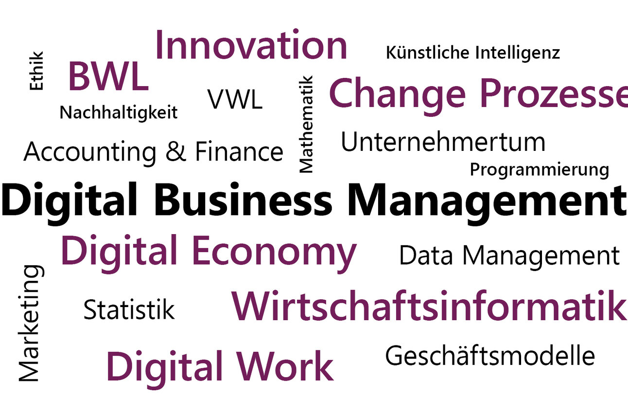 Infografik: Eine Wortwolke mit Begriffen wie "Digital Business Management", "Wirtschaftsinformatik", "Innovation", "Change Prozesse", "Digital Economy", "BWL", "VWL", "Künstliche Intelligenz", "Data Management", "Unternehmertum", "Nachhaltigkeit", "Statistik" und "Marketing".