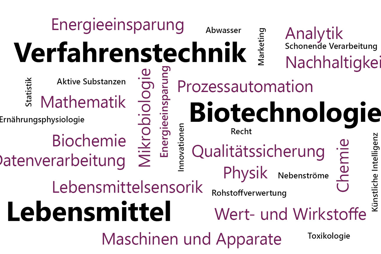 Infografik: Eine Wortwolke mit Begriffen wie "Verfahrenstechnik", "Biotechnologie", "Lebensmittel", "Mikrobiologie", "Qualitätssicherung", "Nachhaltigkeit", "Energieeinsparung", "Mathematik", "Biochemie", "Datenverarbeitung" und "Maschinen und Apparate".
