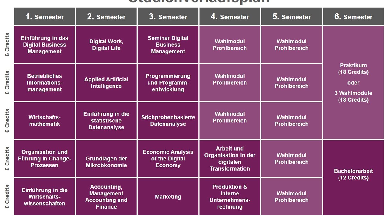 Infografik: Der Studienverlaufsplan zeigt Module für sechs Semester mit jeweils 6 Credits. Themen umfassen Digital Business Management, Künstliche Intelligenz, Programmierung und Wirtschaftsmathematik. Im 6. Semester sind ein Praktikum oder Wahlmodule sowie eine Bachelorarbeit vorgesehen.