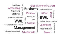 Infografik: Eine Wortwolke mit Begriffen aus Wirtschaft und Management. Enthalten sind Wörter wie BWL, VWL, Business, Management, Accounting, Finance, Controlling, Markt, Innovation, Statistik, Personal, und Globalisierte Wirtschaft.