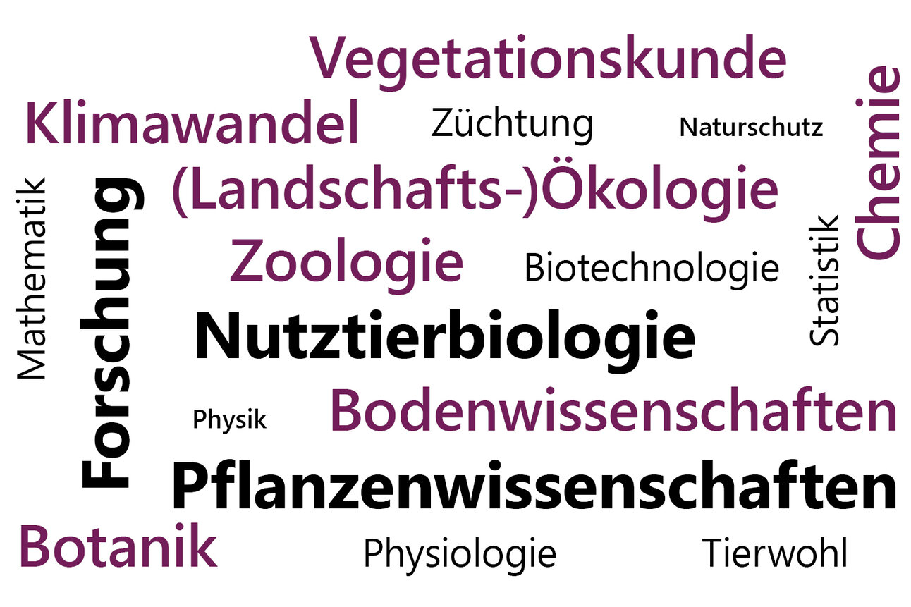 Infografik: Eine Wortwolke mit Begriffen wie "Vegetationskunde", "Klimawandel", "Züchtung", "Naturschutz", "Zoologie", "Biotechnologie", "Nutztierbiologie", "Bodenwissenschaften", "Pflanzenwissenschaften", "Botanik", "Chemie", "Mathematik", "Forschung", "Physik", "Physiologie", "Tierwohl".