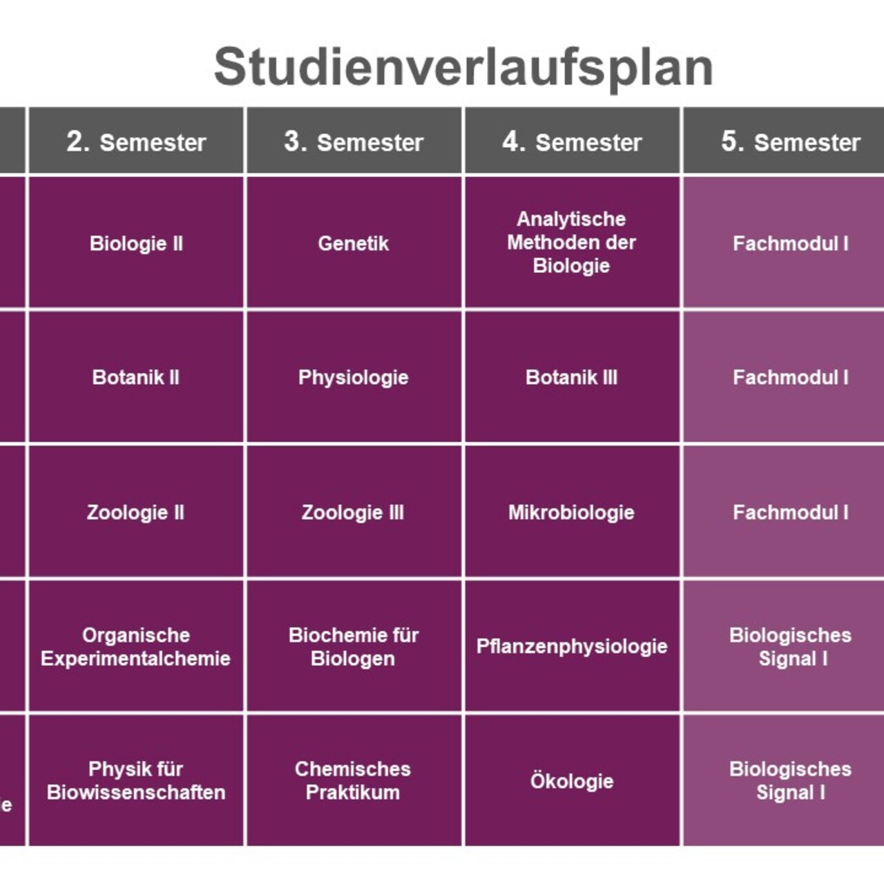 Infografik: Der Studienverlaufsplan zeigt Module für sechs Semester eines Biologiestudiums. Jedes Semester umfasst Kurse wie Biologie, Botanik, Zoologie und Chemie, jeweils mit 6 Credits. Der Plan endet mit einem Grundlagenmodul, einem berufsorientierenden Modul und der Bachelorarbeit im sechsten Semester.