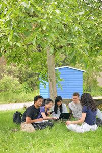 Studierende sitzen unter einem Baum im Gras und schauen auf einen Laptop.