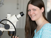 Foto: Eine Person sitzt an einem Tisch und blickt durch ein Mikroskop mit der Aufschrift "Stemi 2000-C". Die Umgebung wirkt wie ein Labor oder wissenschaftlicher Arbeitsplatz. Die Person trägt ein hellblaues Oberteil.
