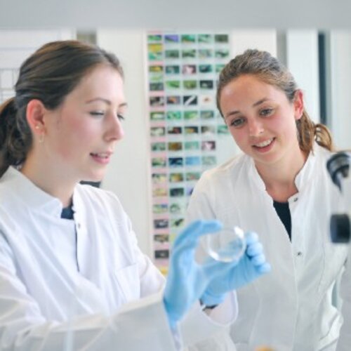 Foto: Zwei Personen in weißen Laborkitteln arbeiten in einem Labor. Eine Person hält eine Petrischale mit blauen Handschuhen, während die andere zuschaut. Im Hintergrund sind ein Mikroskop und eine Wand mit Bildern sichtbar.