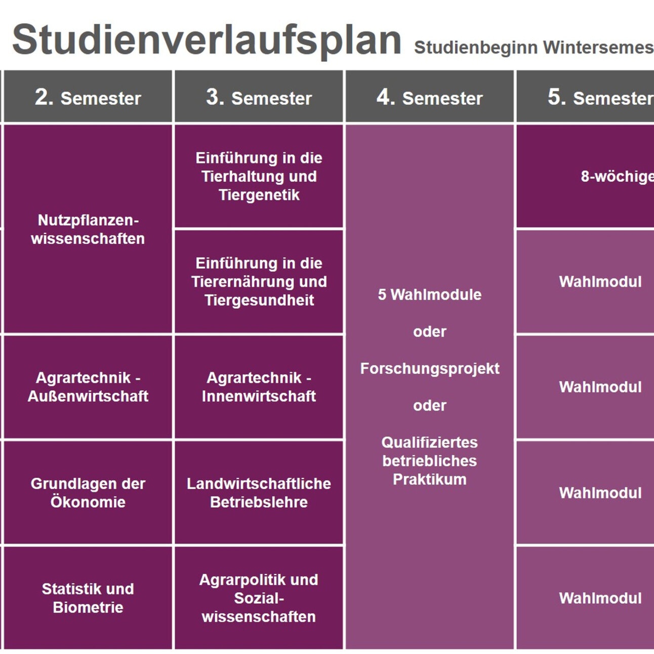 Infografik: Der Studienverlaufsplan für Agrarwissenschaften zeigt Module für jedes Semester. Im 1. Semester: Agrarische Produktionssysteme, Chemische Grundlagen, Grundlagen der Nutzpflanzenwissenschaften, Nutzierwissenschaften, Bodenwissenschaften. Weitere Semester umfassen Tierhaltung, Tierernährung, Wahlmodule und Praktikum.
