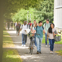 Gruppe junger Studierender gehen gemeinsam bei sonnigem Wetter über den Campus und unterhalten sich.