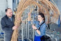 Studentin und Dozent halten ein Bündel Miscanthus. Sie arbeiten in modernen technischen Umgebung.