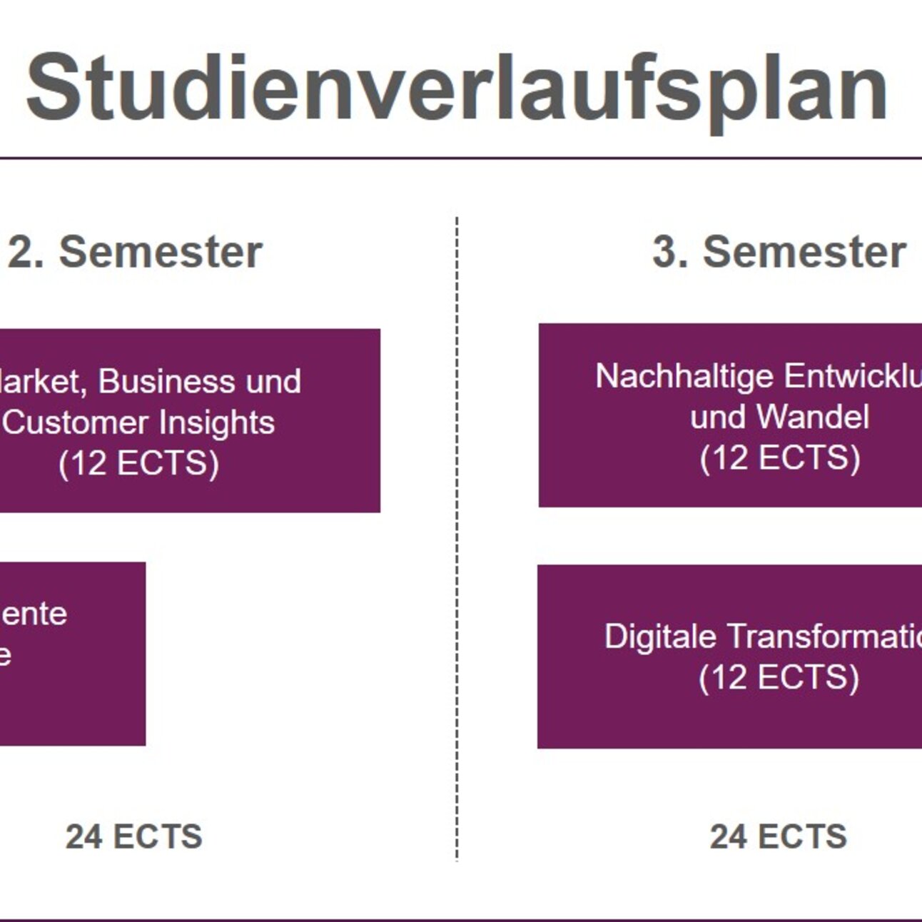 Infografik: Der Studienverlaufsplan zeigt die Semesteraufteilung eines Studiengangs. Im 1. Semester: Strategisches Marketing & Business Development, Marketinginstrumente und -prozesse (je 18 ECTS). 2. Semester: Market, Business und Customer Insights (12 ECTS). 3. Semester: Nachhaltige Entwicklung und Wandel, Digitale Transformation (je 12 ECTS). 4. Semester: Masterarbeit (18 ECTS).