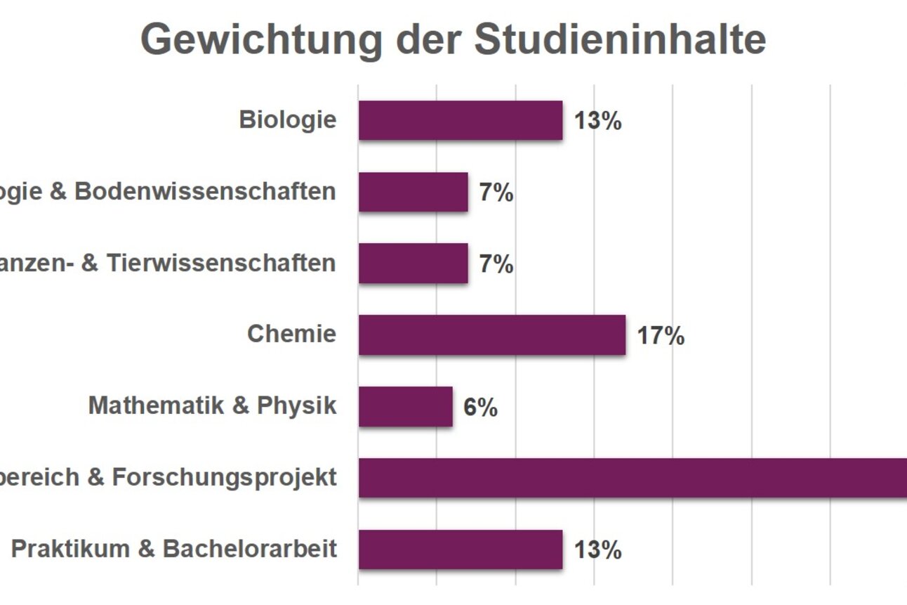 Infografik: Balkendiagramm zeigt die Gewichtung der Studieninhalte. Biologie 13%, Ökologie & Bodenwissenschaften 7%, Nutzpflanzen- & Tierwissenschaften 7%, Chemie 17%, Mathematik & Physik 6%, Wahlbereich & Forschungsprojekt 37%, Praktikum & Bachelorarbeit 13%.