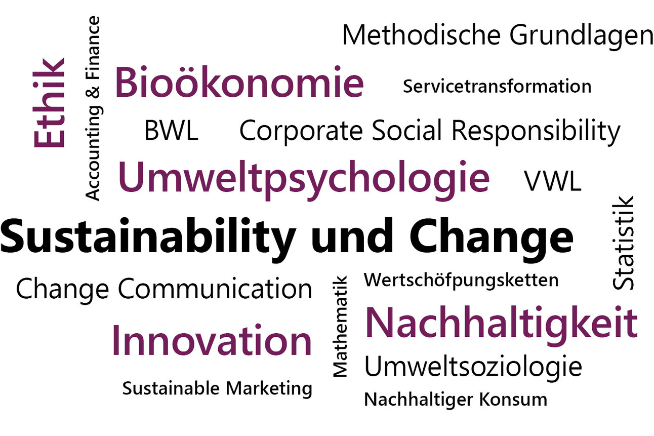 Text auf Bild: Methodische Grundlagen in Bioökonomie, Servicetransformation, BWL, Corporate Social Responsibility, Umweltpsychologie, VWL, Sustainability und Change, Change Communication, Wertschöpfungsketten, Innovation, Nachhaltigkeit, Umweltsoziologie, Sustainable Marketing und nachhaltiger Konsum.