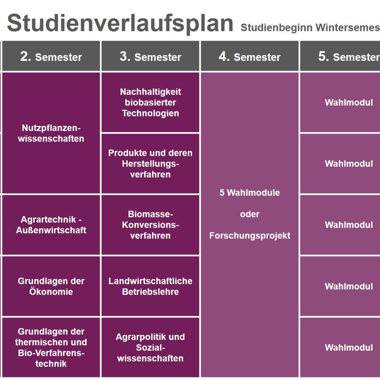 Infografik: Der Studienverlaufsplan zeigt Module für sechs Semester eines agrarwissenschaftlichen Studiengangs. Jedes Semester umfasst Module wie Mathematik, Physik, Nutzpflanzenwissenschaften und Wahlmodule. Im sechsten Semester sind ein Berufspraktikum und die Bachelorarbeit vorgesehen.