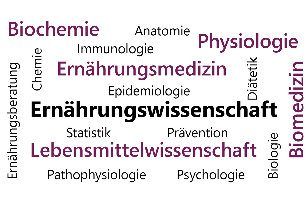 Infografik: Eine Wortwolke zeigt Begriffe aus den Bereichen Ernährungswissenschaft, Biochemie, Physiologie und mehr. Zentrale Begriffe sind "Ernährungswissenschaft" und "Lebensmittelwissenschaft". Weitere Begriffe umfassen Anatomie, Immunologie, Statistik und Psychologie.